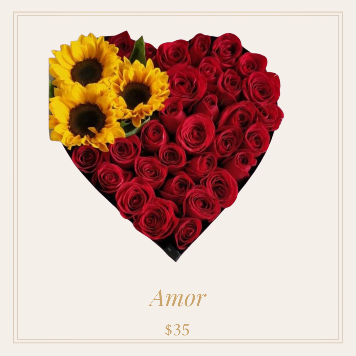 amor-inesperado-67